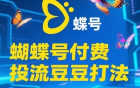 渔财老师·2025蝴蝶号付费投流豆豆打法
