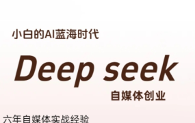 冰冰老师·普通人如何利用Deepseek创业