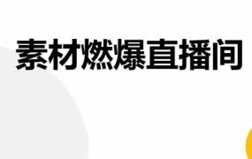 徐大可·视频号直播底层逻辑和投放计划