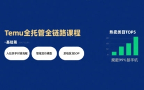 智创跃升·AI增效实战Temu全托管掘金课