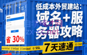 Steven老师·WP外贸建站实战速通课(更新)