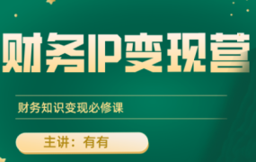 有有老师·财务IP变现营,财务知识变现必修课