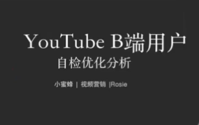 独立站+YouTube视频营销:流量与转化双提升实战课