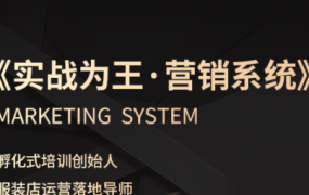 老杨·服装老板必修课《实战为王-营销系统》实现业绩被动式增长