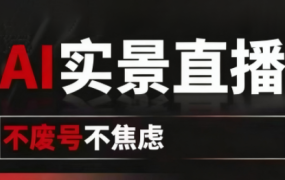 宝子哥9月20线下课11期AI实景直播(录音+字幕)