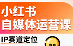 发疯姥子·小红书自媒体运营课