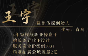 王宇巨象传媒商业IP线下课(视频+笔记)