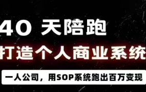 Emily老师·40天商业陪跑营|打造个人商业系统