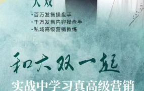 大双养成系IP文案营销密训班
