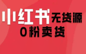 爱野佩佩·小红书无货源0分卖货(更新2025)