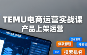 伍跃·跨境拼多多TEMU实操与选品