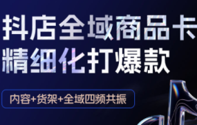 金戈·抖店爆单陪跑课-抖音小店爆单陪跑(更新10月)