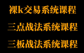 半山猎人三套系统课程(裸K体系、三点体系、三板体系)