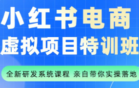 陆明明·小红书虚拟项目特训班(更新9月)