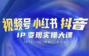 群响·视频号小红书抖音IP变现实操