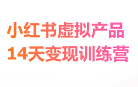 野生运营社群·小红书虚拟电商14天变现训练营3.0
