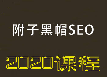 2020附子黑帽SEO视频教程 快速收录霸屏