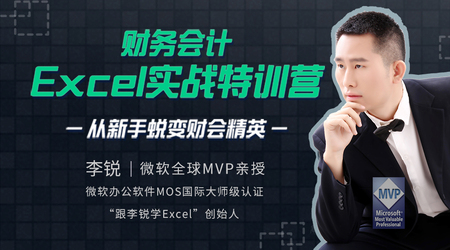 跟李锐学Excel：财务会计Excel职场实战特训营