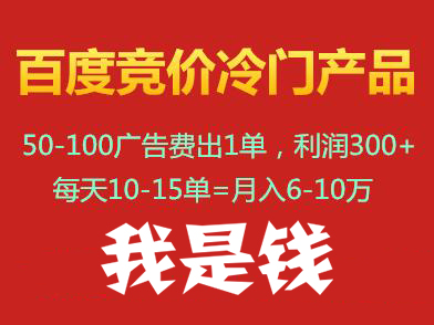 我是钱百度竞价冷门产品【30-48期视频+课件】，持续更新