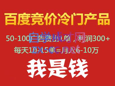 我是钱百度竞价冷门产品项目(39-54期)，价值5000元(53期目录：)第1节百度竞价课程安排)