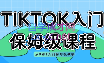 TK实操特训营·TIKTOK入门35节保姆级课程（2023版）
