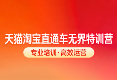 爱上黄昏·天猫淘宝直通车无界特训营（26年1月5-7日线下课）【音频+字幕】