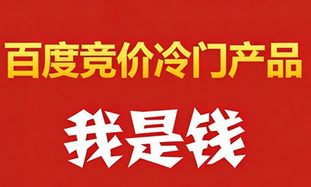 我是钱百度竞价冷门产品项目（更新3月）