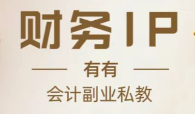 有有老师·财务IP私教课