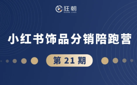 盗坤·抖音小红书视频号短视频带货与直播变现（11-21期）