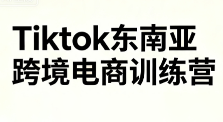 Roger·TK东南亚跨境电商训练营（粤语版）