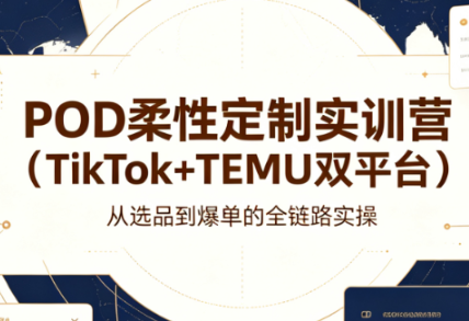 POD柔性定制实训营（TikTok+TEMU双平台）