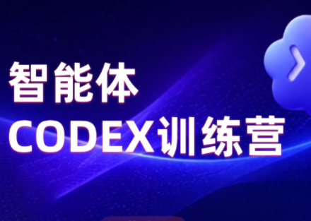 华仔·一人公司：2026Codex智能体实战