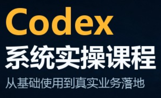 codex系统实操课程（更新10月）